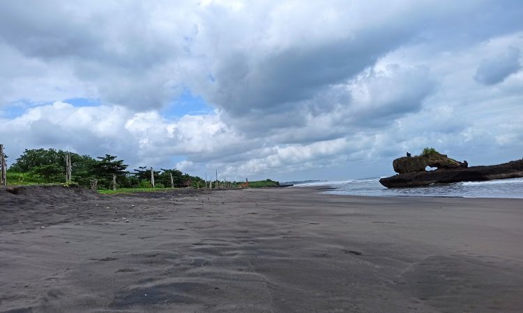 Menyusuri Pesisir Bali Dengan Menunggang Kuda