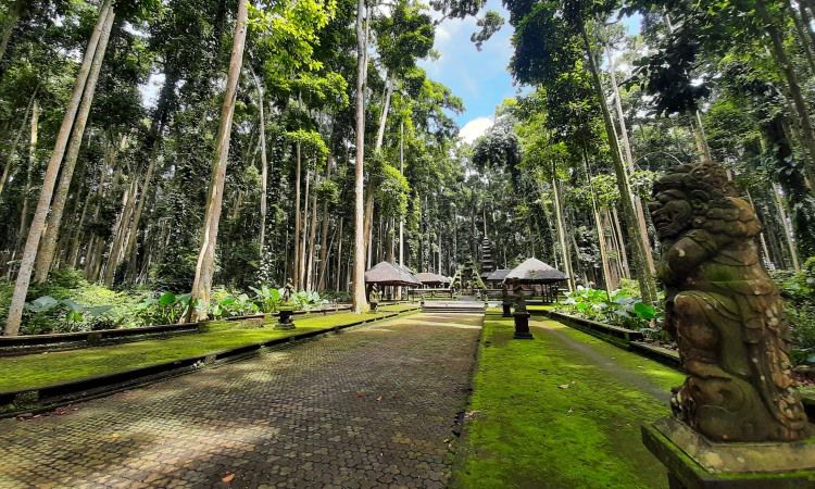 Pesona Wisata Sangeh Sebuah Pengalaman Menarik