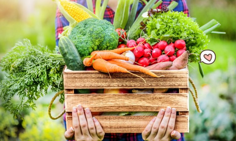 4 Keuntungan Konsumsi Makanan Organik