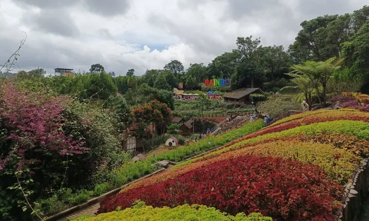 Alamat dan Akses ke Floating Market