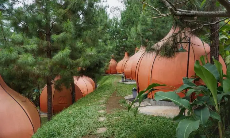 Fasilitas Unik yang Ada di The Lodge Maribaya