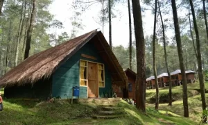 Grafika Cikole Lembang: Destinasi Wisata Penuh Petualangan dan Edukasi di Bandung