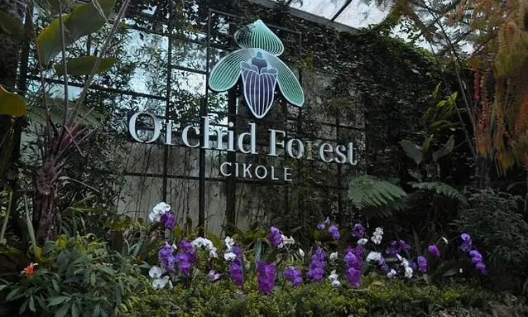 Orchid Forest Cikole: Keindahan Hutan Anggrek di Jantung Bandung