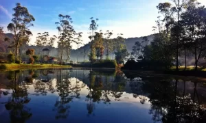 Ranca Upas Camping Ground: Menginap di Tengah Alam yang Menyegarkan