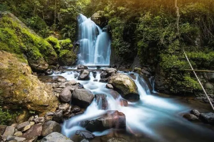 Tempat Wisata Puncak Bogor