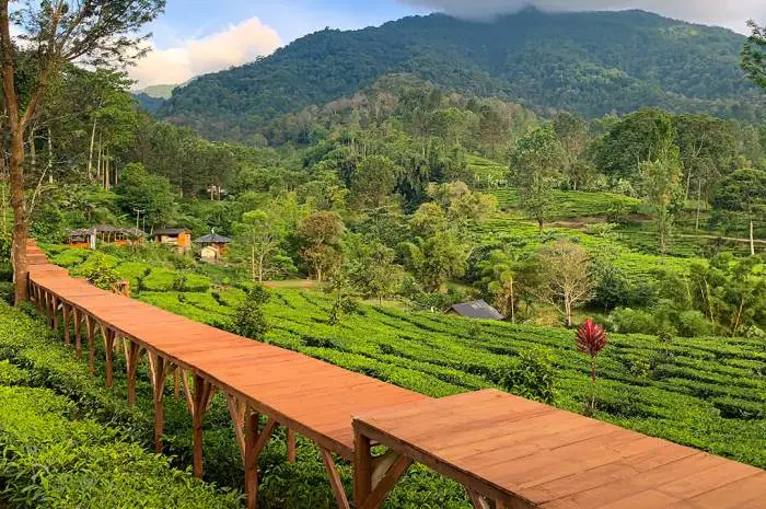 Fasilitas di Kawasan Agrowisata