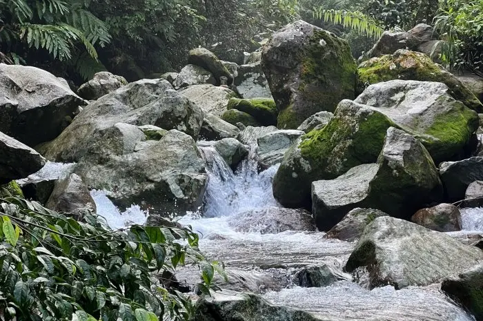 Lembah Tepus