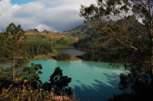 Sajian Alam Yang Indah