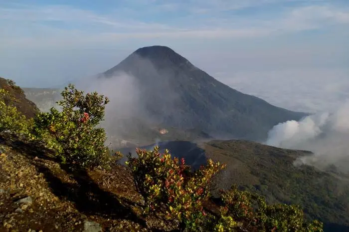 Taman Nasional Gunung Gede Pangrango