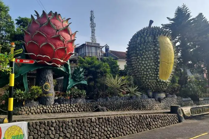 Warso Farm