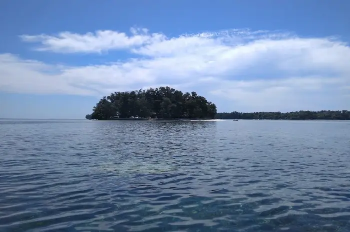Pulau Kelapa, Pulau Eksotis dengan Flora dan Fauna Langka di Kepulauan Seribu