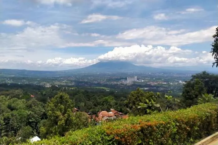 Alamat dan Rute Menuju Lokasi
