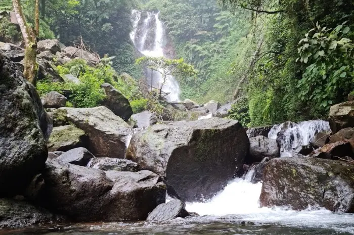 Curug Ciherang, Pintu Gerbang ke Dunia Keajaiban Alam Jawa di Bogor