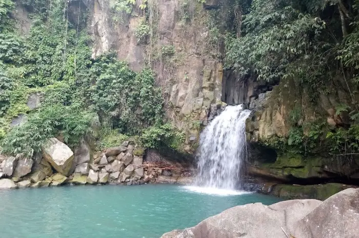 Curug Cikuluwung, Mengintip Pesona Permata Tersembunyi di Tengah Hutan Bogor