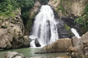 Curug Rahong, Air Terjun yang Tersembunyi di balik Hamparan Pepohonan Rimbun Bogor