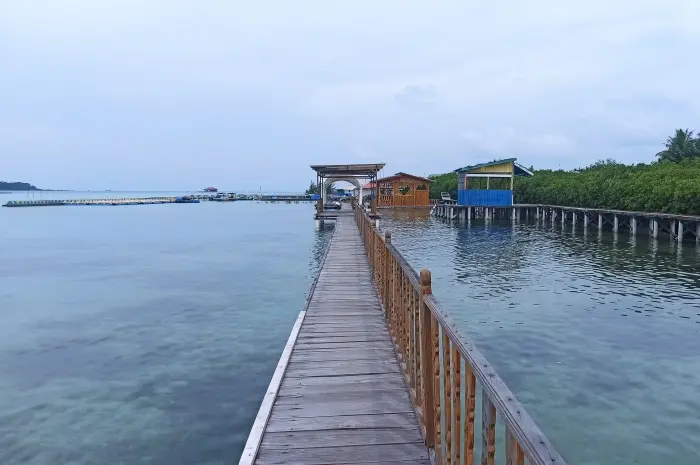 Daya Tarik Pulau Kelapa