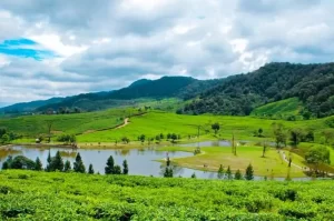 Telaga Saat Puncak, Petualangan Menakjubkan di Tengah Keindahan Alam