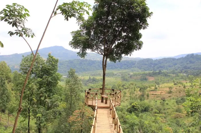 Gunung Pancar, Destinasi Wisata Alam di Bogor yang Kaya Pesona