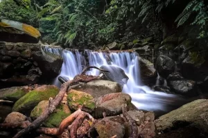 Lembah Tepus, Destinasi Alam Tersembunyi di Bogor yang Kaya Pesona