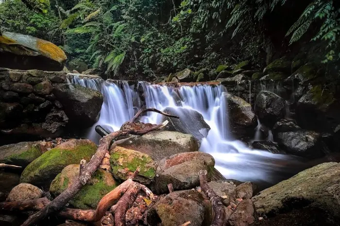 Lembah Tepus, Destinasi Alam Tersembunyi di Bogor yang Kaya Pesona