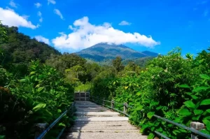 Taman Nasional Gunung Gede Pangrango, Menjelajahi Keindahan Keragaman Hayati