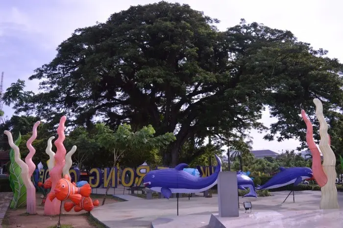 Daya Tarik Teluk Lerong Garden
