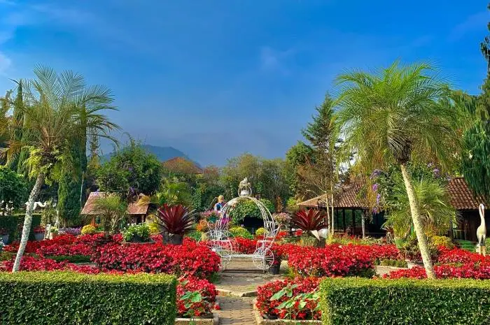 Kebun Begonia Lembang