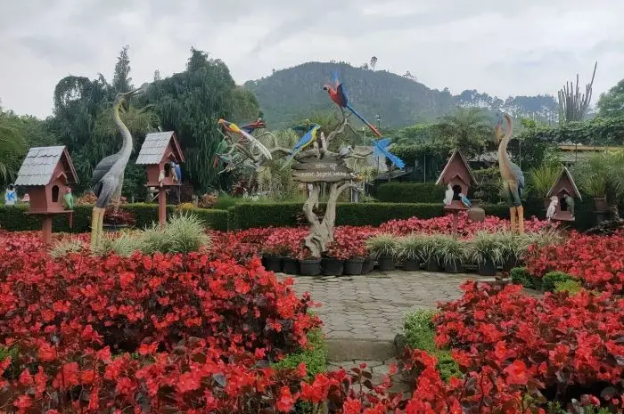Kegiatan Seru Kebun Begonia Lembang