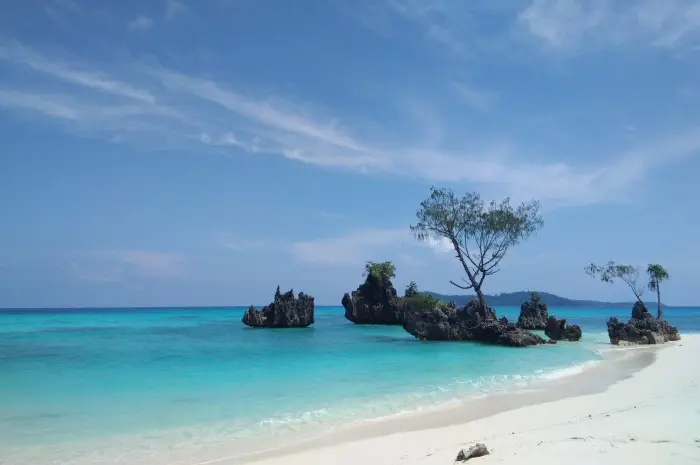 Taman Nasional Teluk Cendrawasih