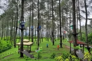 Tempat Wisata di Jawa Barat yang Harus Dikunjungi untuk Liburan Seru dan Berkesan