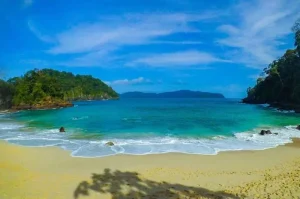 Tempat Wisata di Jawa Timur dengan Keindahan Alam yang Memukau