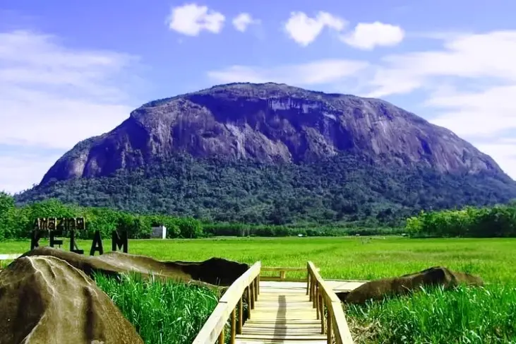 Gunung Bukit Raya (Kalimantan)