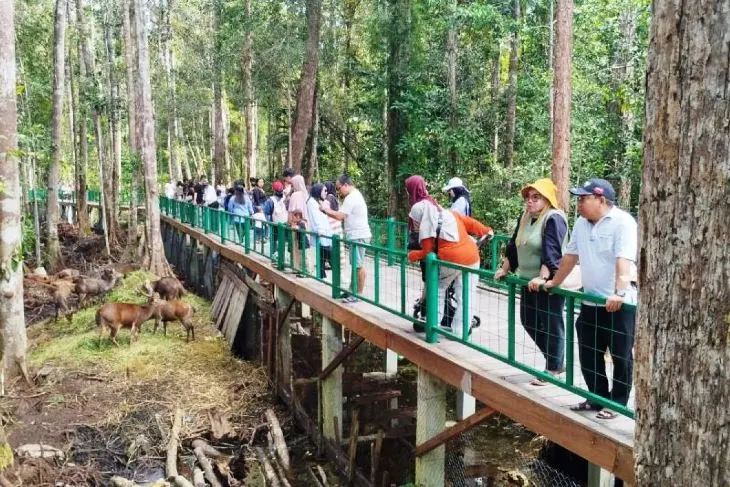 Hutan Kota Palangkaraya - Tempat Ngadem di Tengah Kota