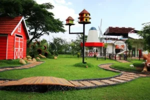 Wisata Edukasi di Jember yang Seru, Asyik, dan Bikin Liburan Makin Berkesan!