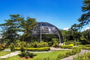 Tempat Wisata di Boyolali yang Hits, Bikin Liburan Makin Seru!