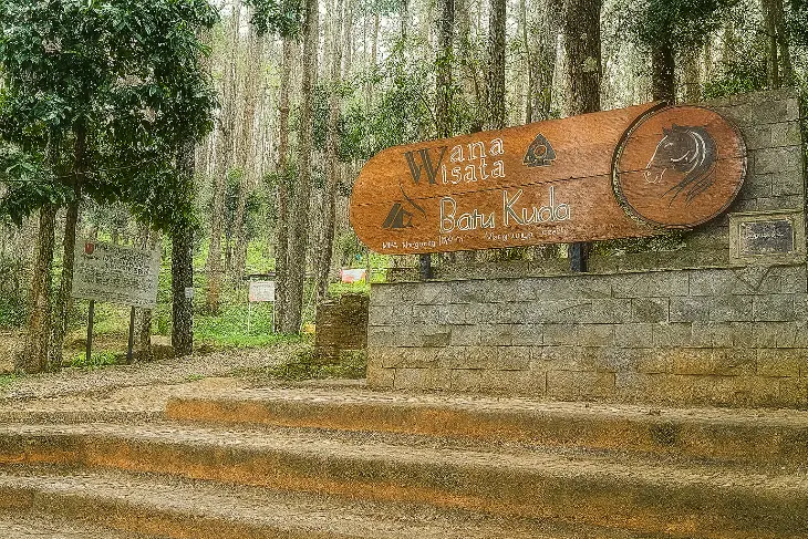 Batu Kuda - Hutan Pinus Instagramable dan Tempat Camping Populer