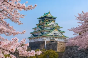Osaka Castle: Ikon Sejarah & Spot Sakura Terpopuler di Jepang!