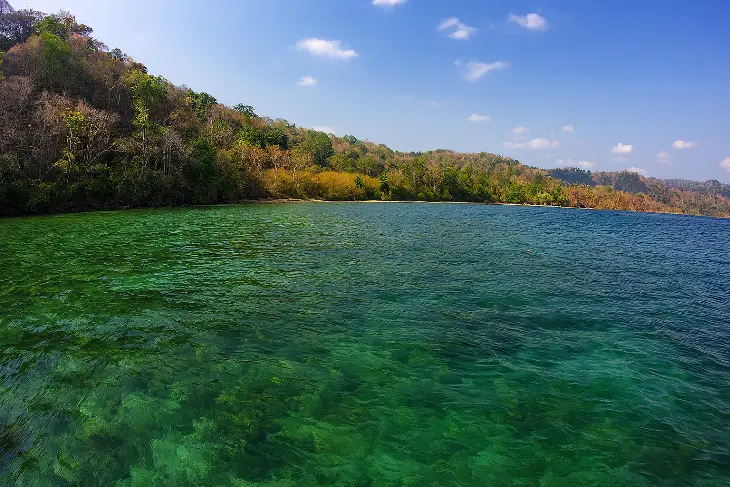Wisata di Taman Nasional Alas Purwo: Pantai Teluk Biru
