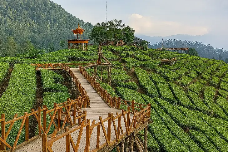 Wayang Windu Panenjoan - Lautan Kebun Teh & Negeri di Atas Awan