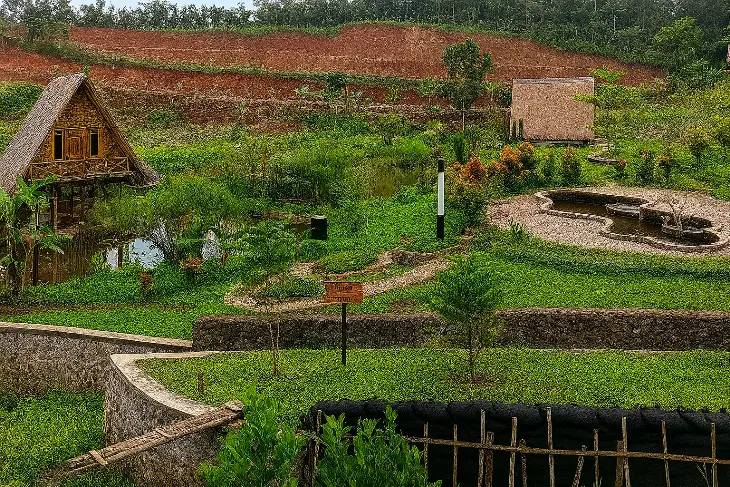 Wisata di Bandung Timur: Wetland Park Cisurupan - Wisata Ekologi & Ruang Terbuka Hijau